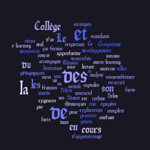 Cours de langue  française - Niveau (France : 6ème), (Belgique : 6ème Primaire), (Suisse romande : 8S), (Québec :  6ème Primaire) – Visioconférence & E-learning