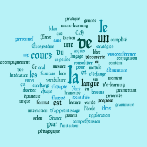 Cours de langue française – Niveau (France : CM1), (Belgique : 4ème Primaire), (Suisse romande : 4P), (Québec : 4ème année) – Visioconférence & E-learning