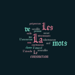 Cours de langue française académique en visioconférence - CM1
