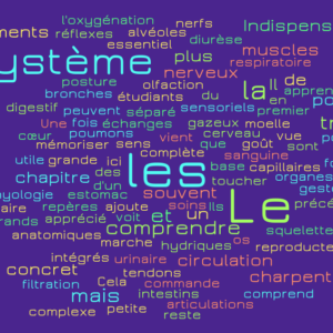 Formation : Socle Fondamental (Anatomie & Physiologie) -15 séances (22h30) + e-learning