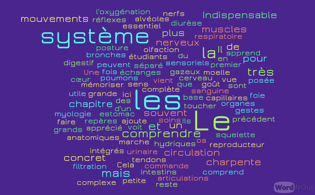 Formation : Socle Fondamental (Anatomie & Physiologie) -15 séances (22h30) + e-learning