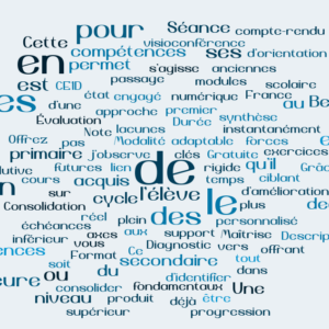 Bilan pédagogique gratuit en sciences mathématiques : Primaire & Secondaire (Collège) – France, Belgique, Suisse, Québec - En visioconférence