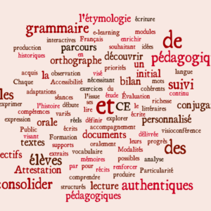 Visuel - CE2