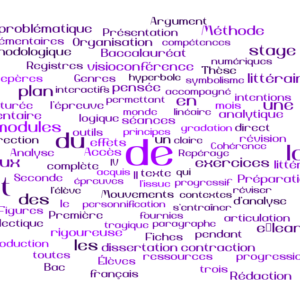 Stage intensif (10h) en visioconférence préparatoire à l'épreuve de français du Baccalauréat