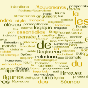 Stage intensif (10h) en visioconférence préparatoire à l'épreuve de français du Brevet